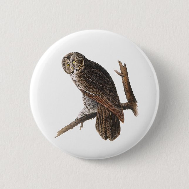 Great Grey Owl 6 Cm Round Badge (Front)