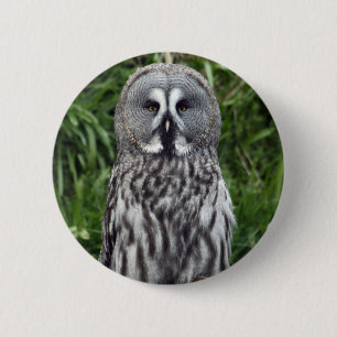Great Grey Owl 6 Cm Round Badge
