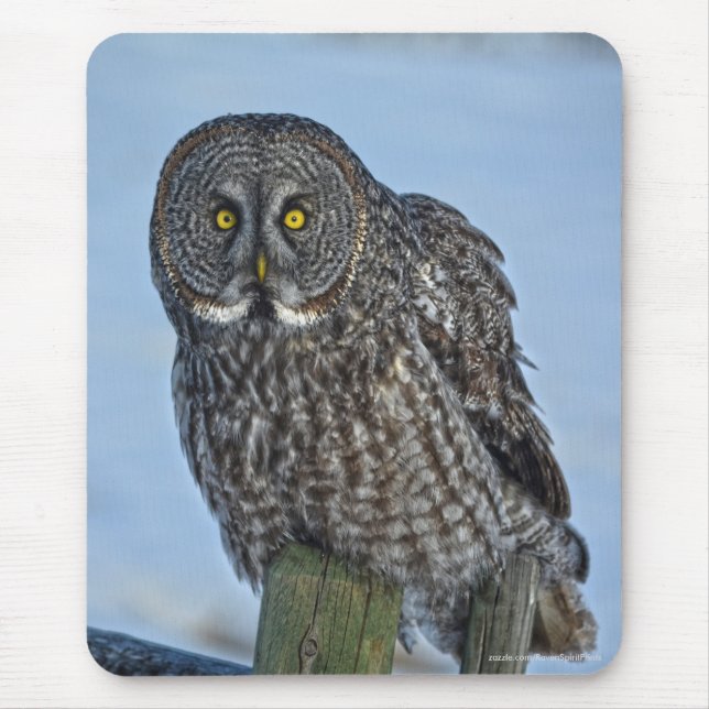 Great Grey Owl and Snow Wildlife Raptor Photo Mouse Pad (Front)