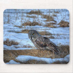 Great Grey Owl and Snow Wildlife Raptor Photo Mouse Pad