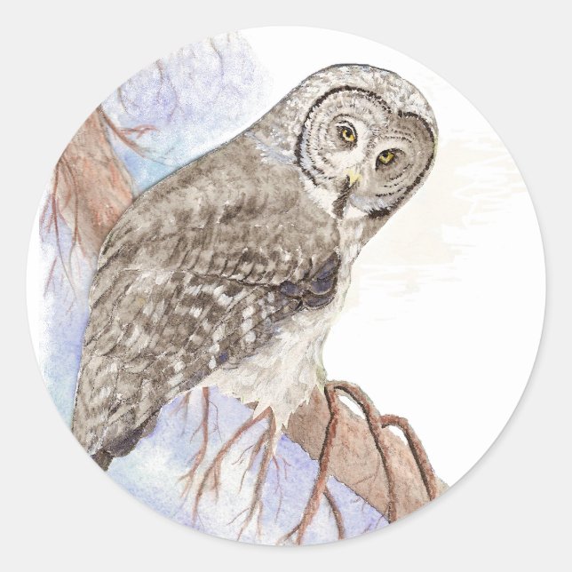 Great Grey Owl, Bird, Nature, Wildlife,  Sticker (Front)