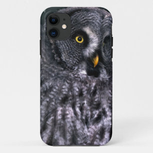 Great Grey Owl iPhone 11 Case