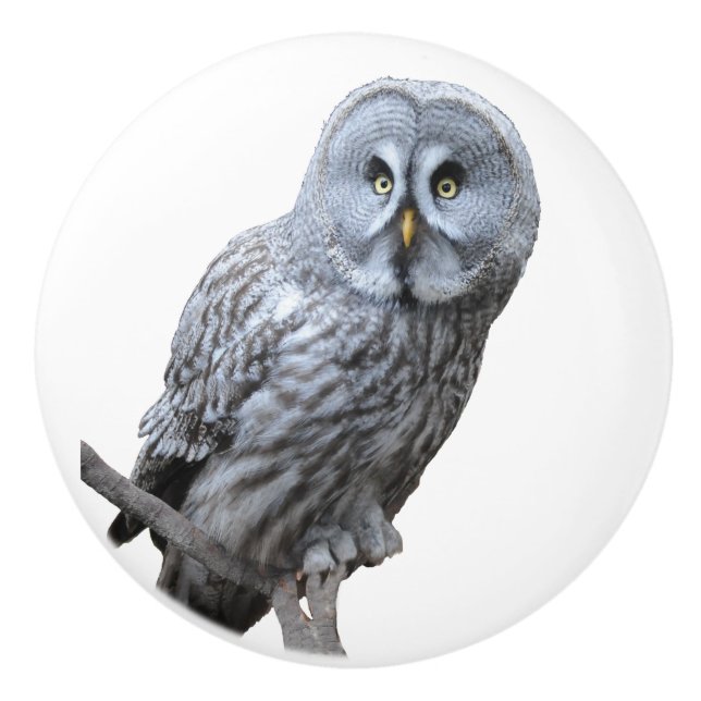 Great Grey Owl Ceramic Knob (Front)