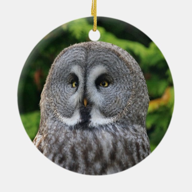 Great Grey Owl Ceramic Ornament (Back)