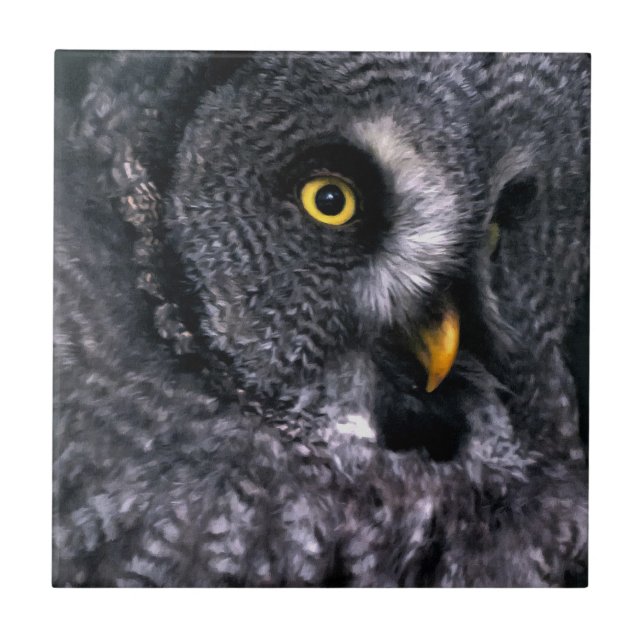 Great Grey Owl Ceramic Tile (Front)