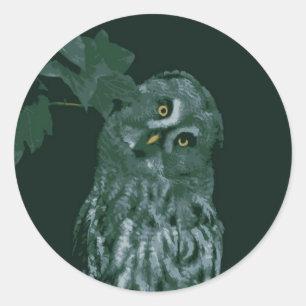 Great Grey Owl Classic Round Sticker