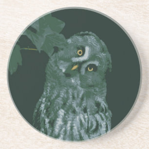 Great Grey Owl Coaster