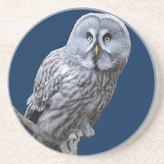 Great Grey Owl Coaster (Front)