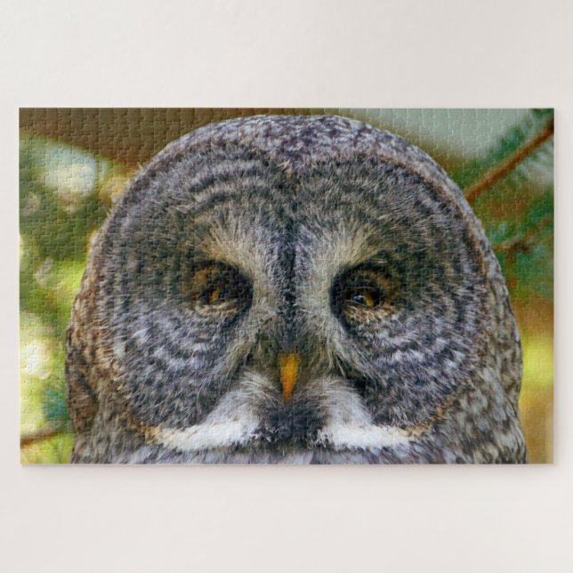 Great Grey Owl Face Difficult 1,000 Pieces Jigsaw Puzzle (Horizontal)