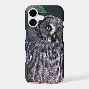 Great Grey Owl Halloween Wildlife Art