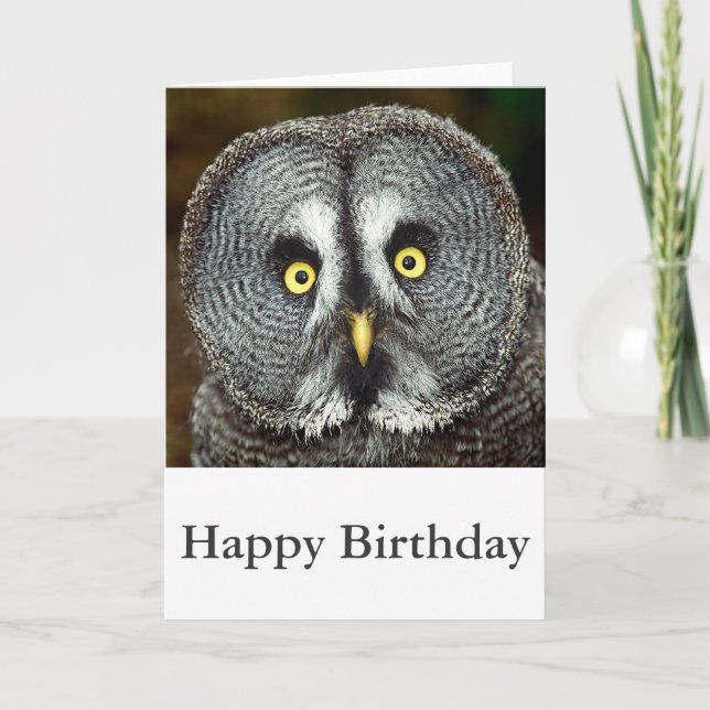 Great Grey Owl - Happy Birthday Card (Front)