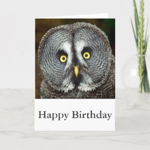 Great Grey Owl - Happy Birthday Card