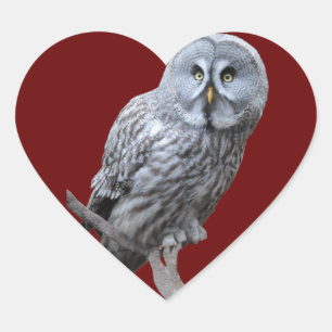 Great Grey Owl Heart Sticker