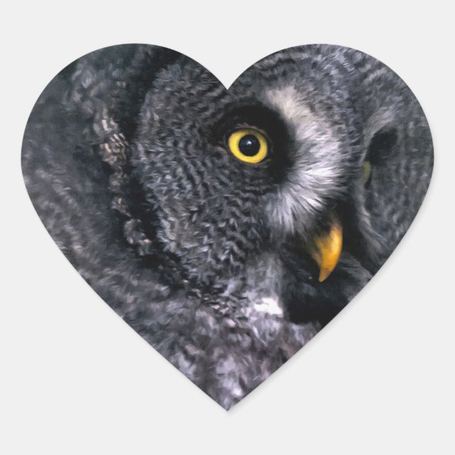 Great Grey Owl Heart Sticker (Front)