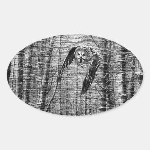 Great Grey Owl in black and white stickers