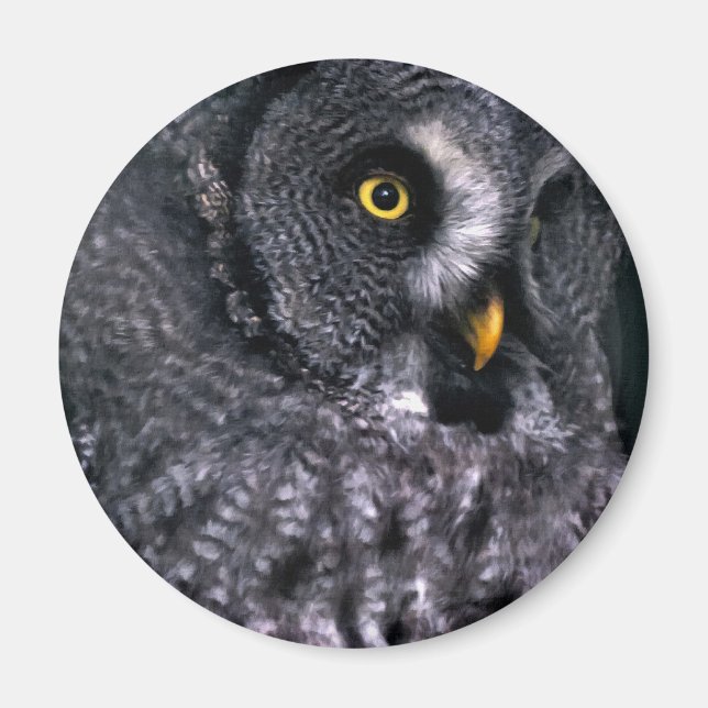 Great Grey Owl Magnet (Front)