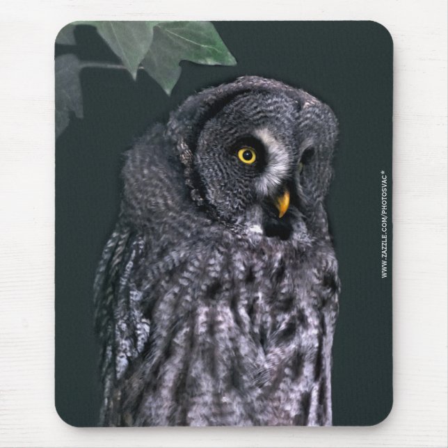 Great Grey Owl Mouse Pad (Front)