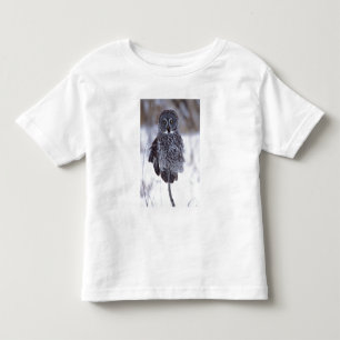 Great Grey Owl near Pine City MN, Toddler T-Shirt