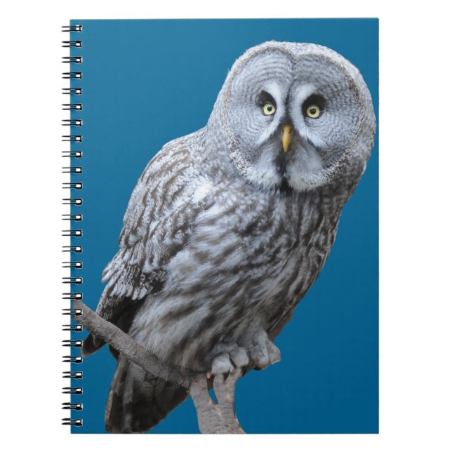 Great Grey Owl Notebook (Front)
