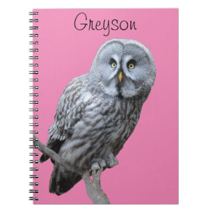 Great Grey Owl Notebook