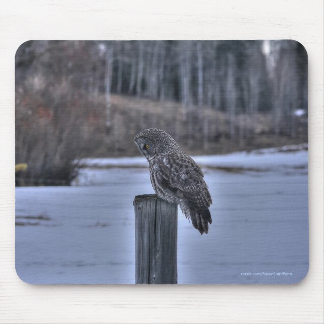 Great Grey Owl on Fence Post Winter Wildlife Photo Mouse Pad (Front)