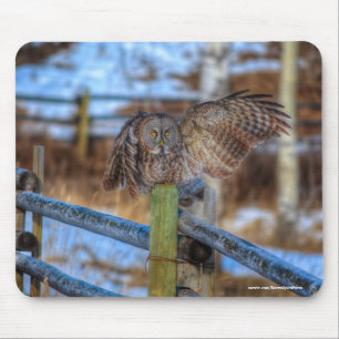 Great Grey Owl on Fence Wildlife Raptor Photo Mouse Pad