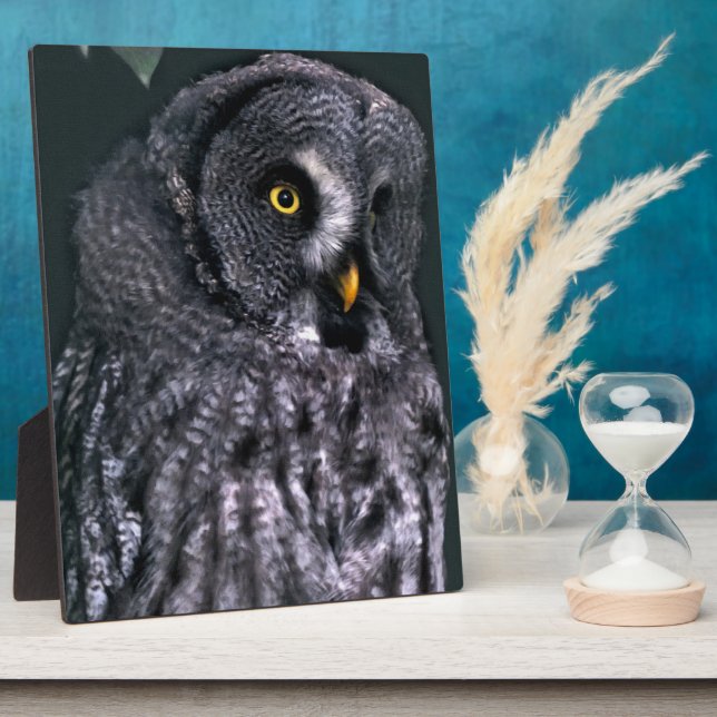 Great Grey Owl Plaque (Side)