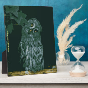 Great Grey Owl Plaque