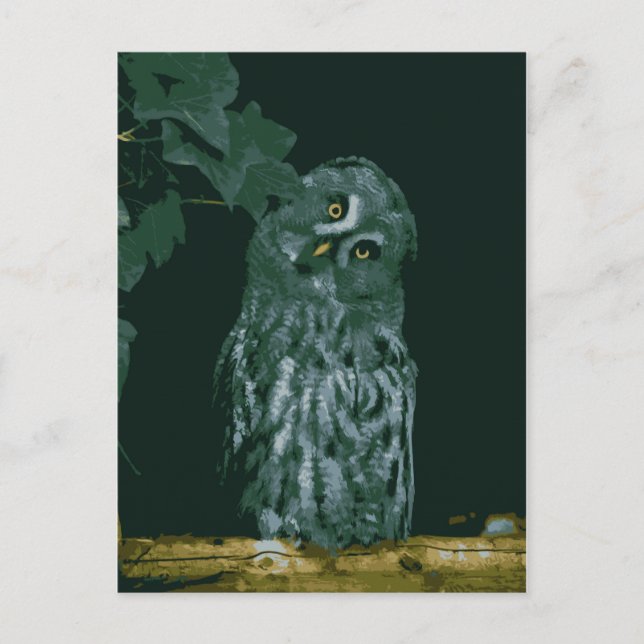 Great Grey Owl Postcard (Front)
