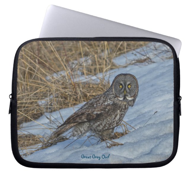 Great Grey Owl Raptor Winter Wildlife Photo Laptop Sleeve (Front)