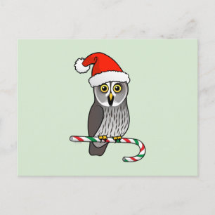 Great Grey Owl Santa Holiday Postcard