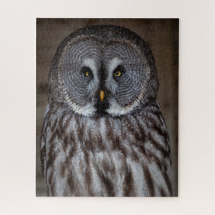 Great Grey Owl Standing Alone Jigsaw Puzzle