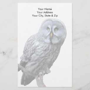 Great Grey Owl Stationery