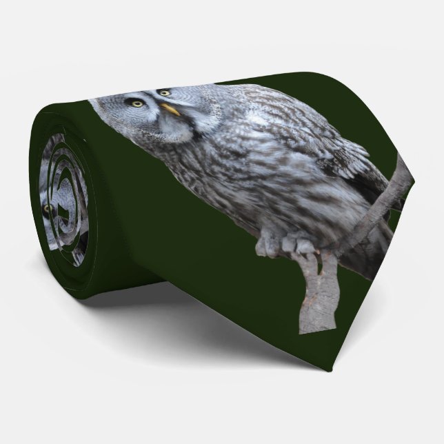 Great Grey Owl Tie (Rolled)