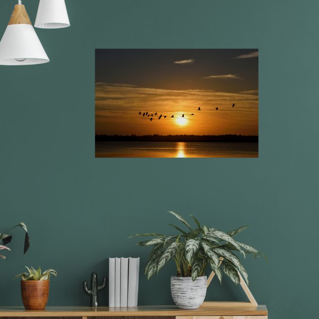 Great Herons At Sunset Poster (Living Room 1)