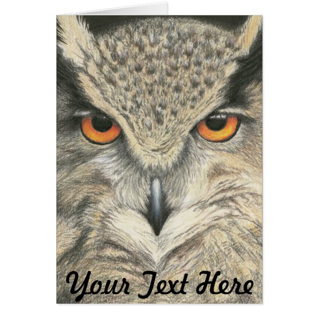 Great Horned Owl (Front)