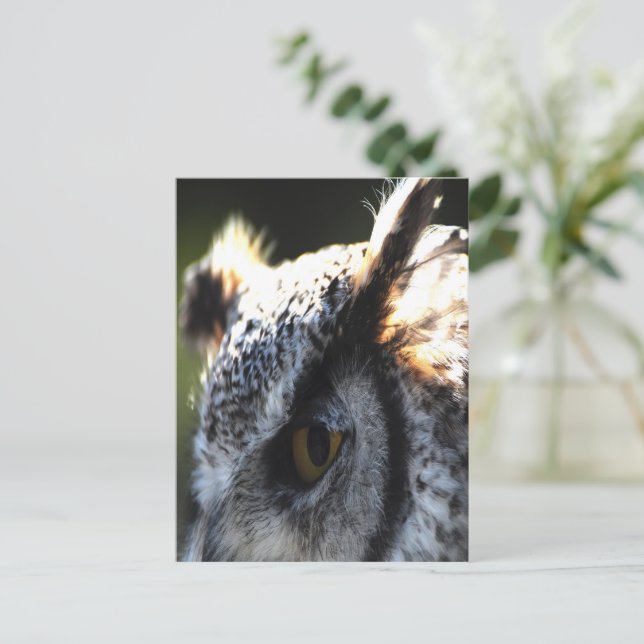 Great Horned Owl 2 Postcard (Standing Front)