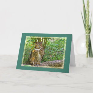 Great Horned Owl All-Purpose Greeting Card