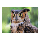Great Horned Owl Blank Card