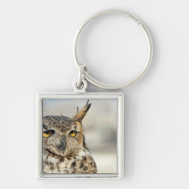 Great Horned Owl (Bubo virginianus), captive Key Ring (Front)