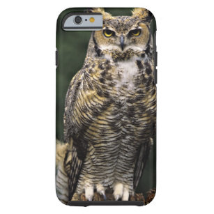Great Horned Owl (Bubo virginianus), full body Tough iPhone 6 Case