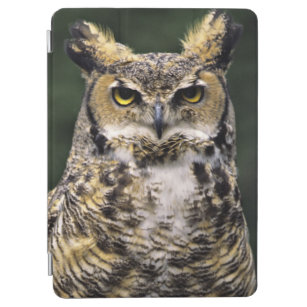 Great Horned Owl (Bubo virginianus), full body iPad Air Cover