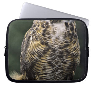 Great Horned Owl (Bubo virginianus), full body Laptop Sleeve