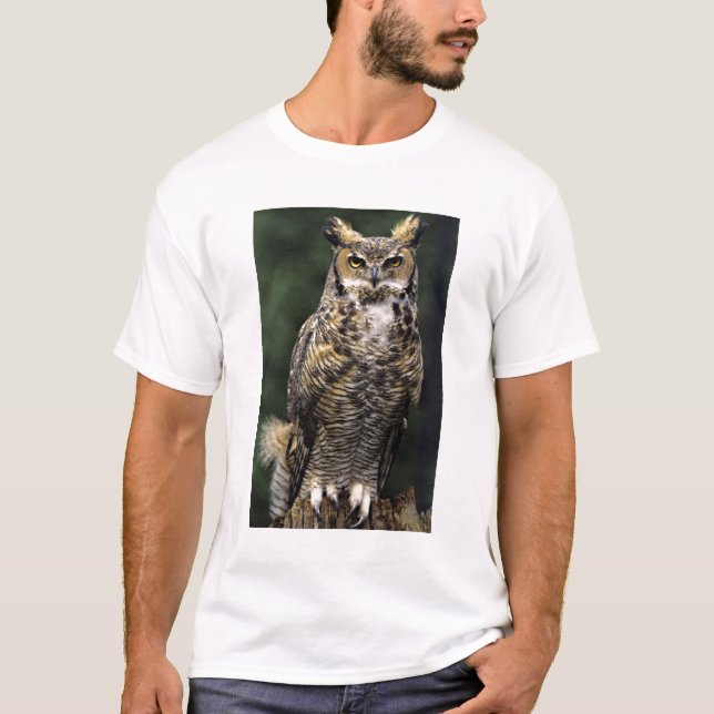 Great Horned Owl (Bubo virginianus), full body T-Shirt (Front)