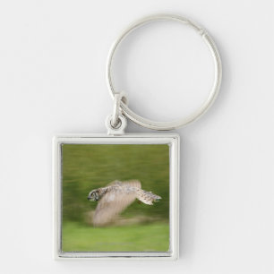 Great Horned Owl (Bubo virginianus) Key Ring