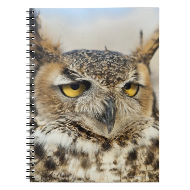 Great Horned Owl (Bubo virginianus) Notebook (Front)