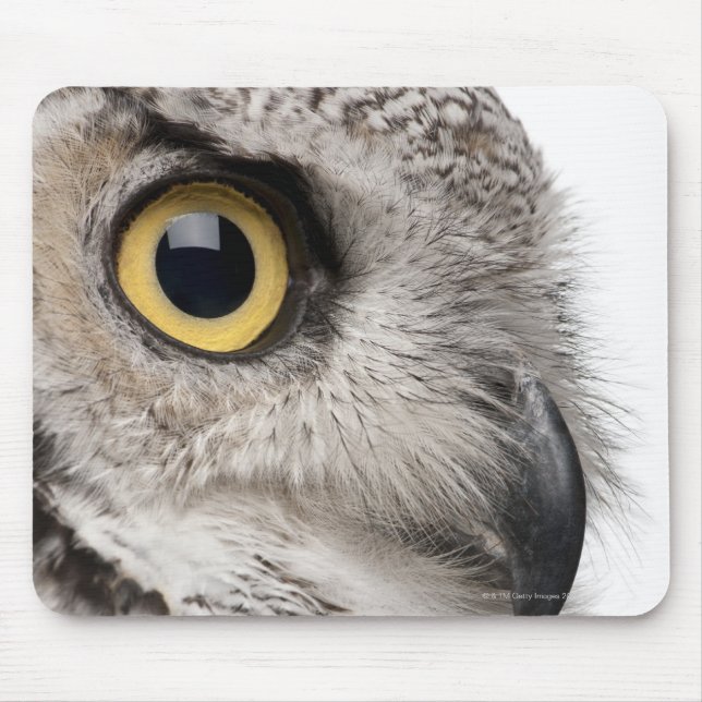 Great Horned Owl - Bubo Virginianus Subarcticus Mouse Pad (Front)