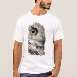 Great Horned Owl - Bubo Virginianus Subarcticus T-Shirt