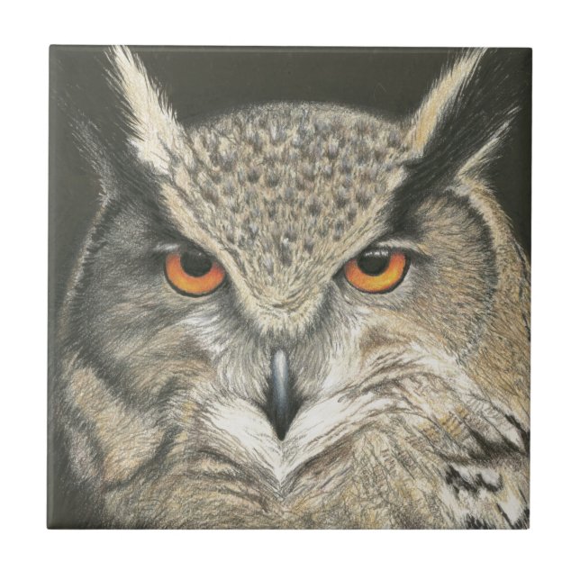 Great Horned Owl Ceramic Tile (Front)