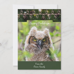 Great Horned Owl Christmas Card